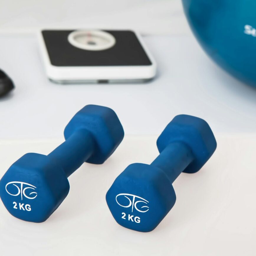 physiotherapy-weight-training-dumbbell-exercise-balls-39671.jpeg